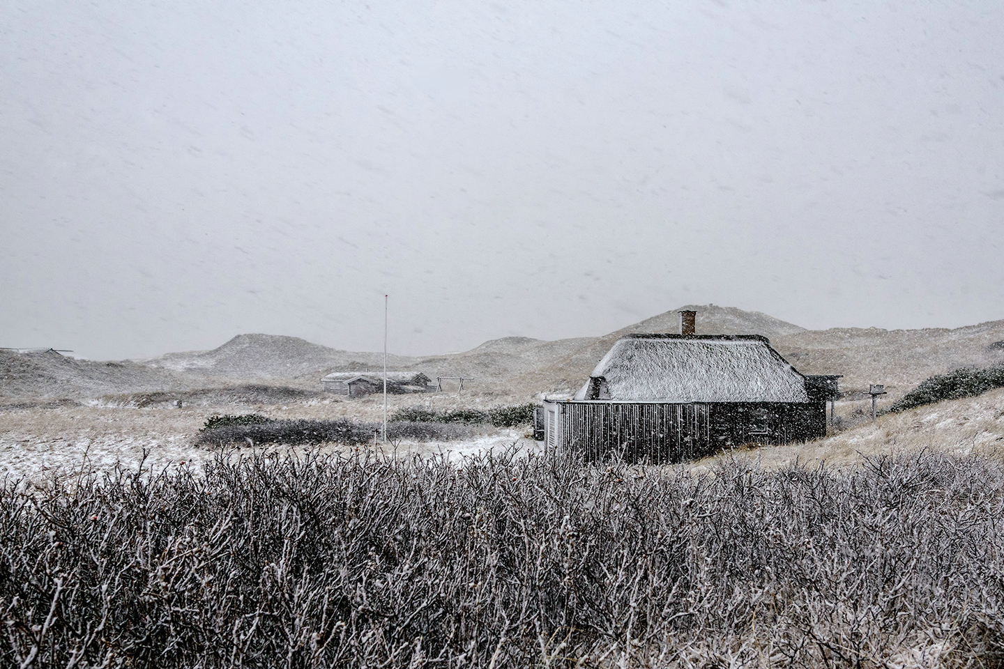 Schneetreiben im Januar am Holmsland Klit